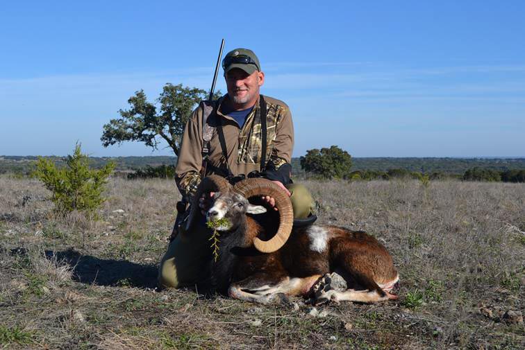 Axis Deer and Pure European Mouflon Sheep…The Continuation of a Hunting Heritage!