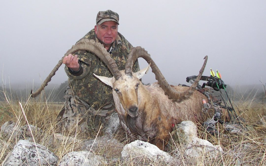 Patio Ranch Return Trip…This Time for a Super Hybrid