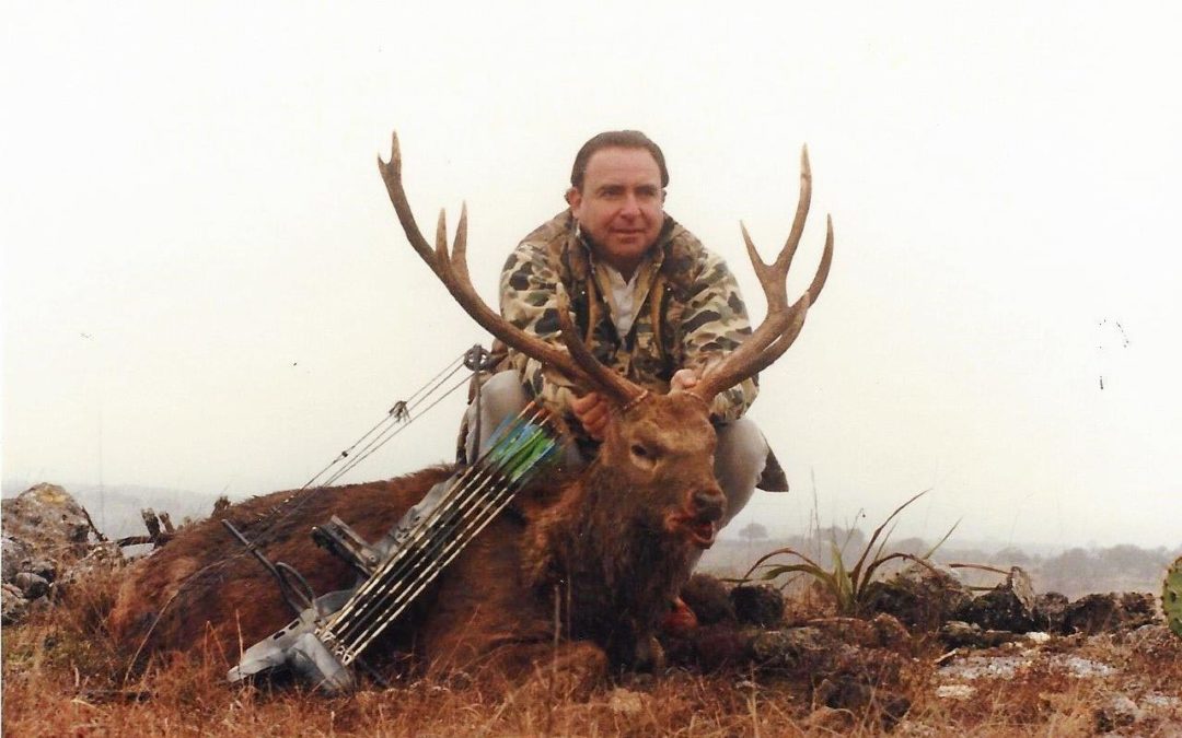 SCI #11 Typical sika, all methods, all time